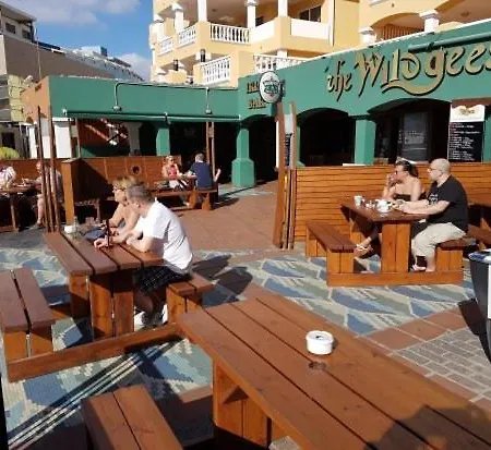431 - Edif Aguamarina - Vacation In The Coast Line Of Golf Del Sur * סן מיגל דה אבונה