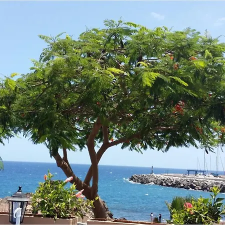 431 - Edif Aguamarina - Vacation In The Coast Line Of Golf Del Sur سان ميغيل ذي أبونا