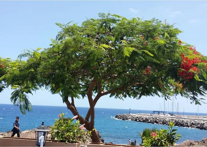 431 - Edif Aguamarina - Vacation In The Coast Line Of Golf Del Sur San Miguel de Abona